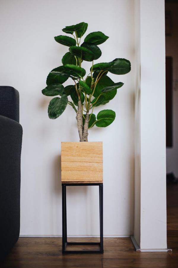 Apartman Paola สลาวอนสกีบรอด ภายนอก รูปภาพ